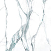 See Elysium - Calacatta Fantasy 48 in. x 48 in. Porcelain Tile - Green