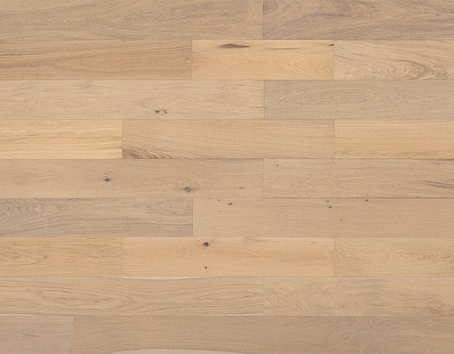 25020 Variation View