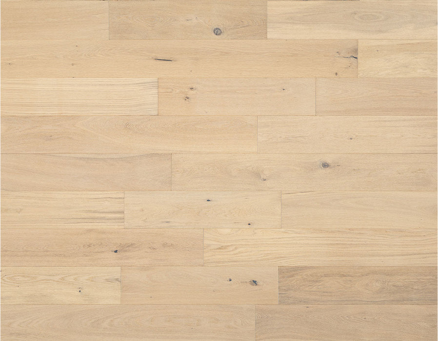 25021 Variation View