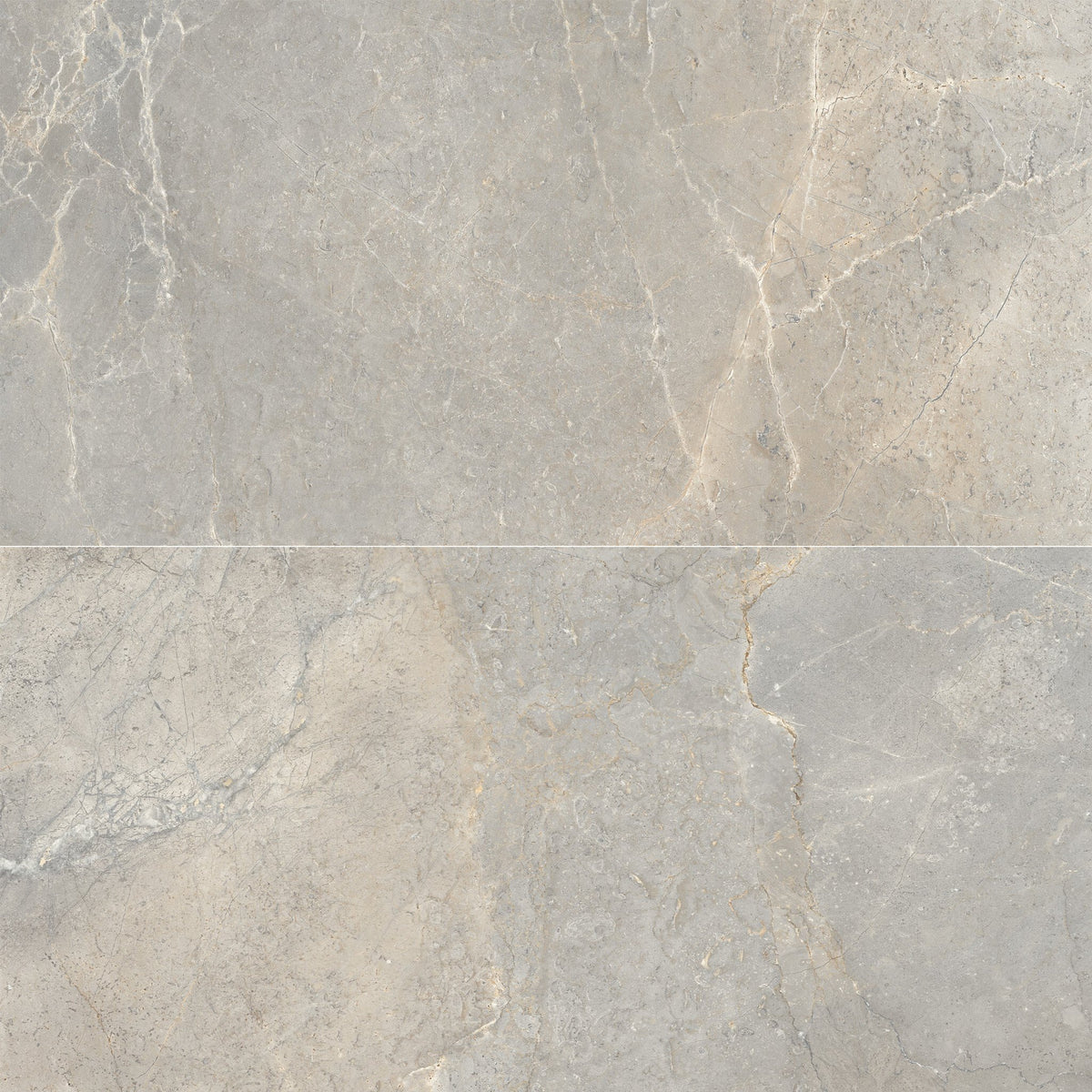 Arizona Tile - Anthea 24&quot; x 48&quot; Rectified Porcelain Tile - Earth