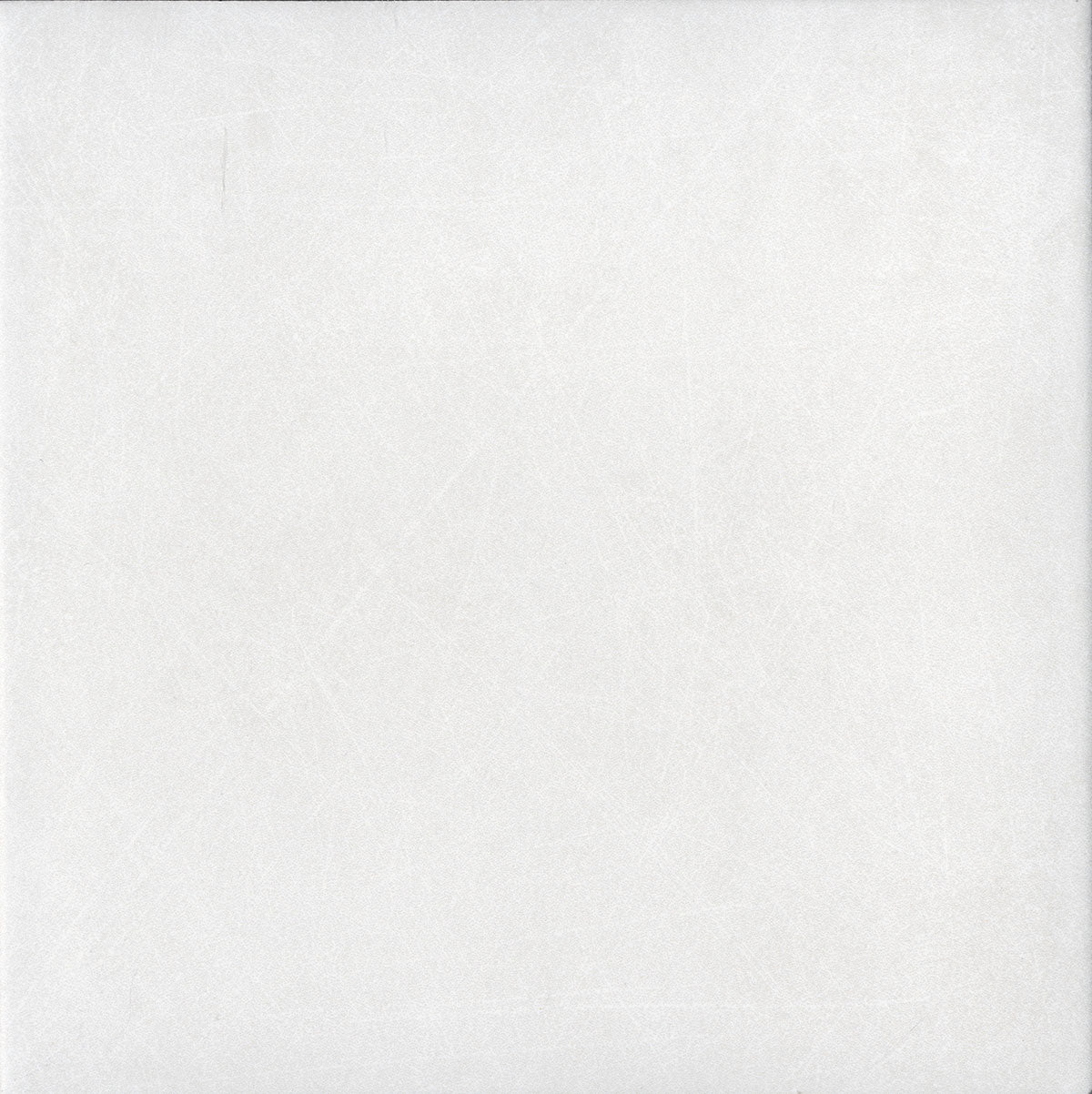 Floors 2000 - Serenity 8 in. x 8 in. Porcelain Tile - White
