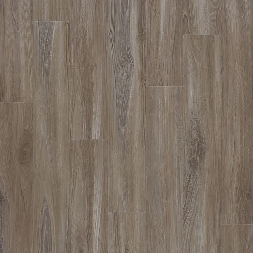 Mohawk - SolidTech Select - Explorers Forest 7 in. x 48 in