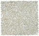 Elysium - Peach 12" x 12" Glass and Marble Mosaic - Calacatta Gold