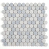 See Elysium - Penny Marble 11 in. x 11.5 in. Marble Mosaic - Crystal Ocean