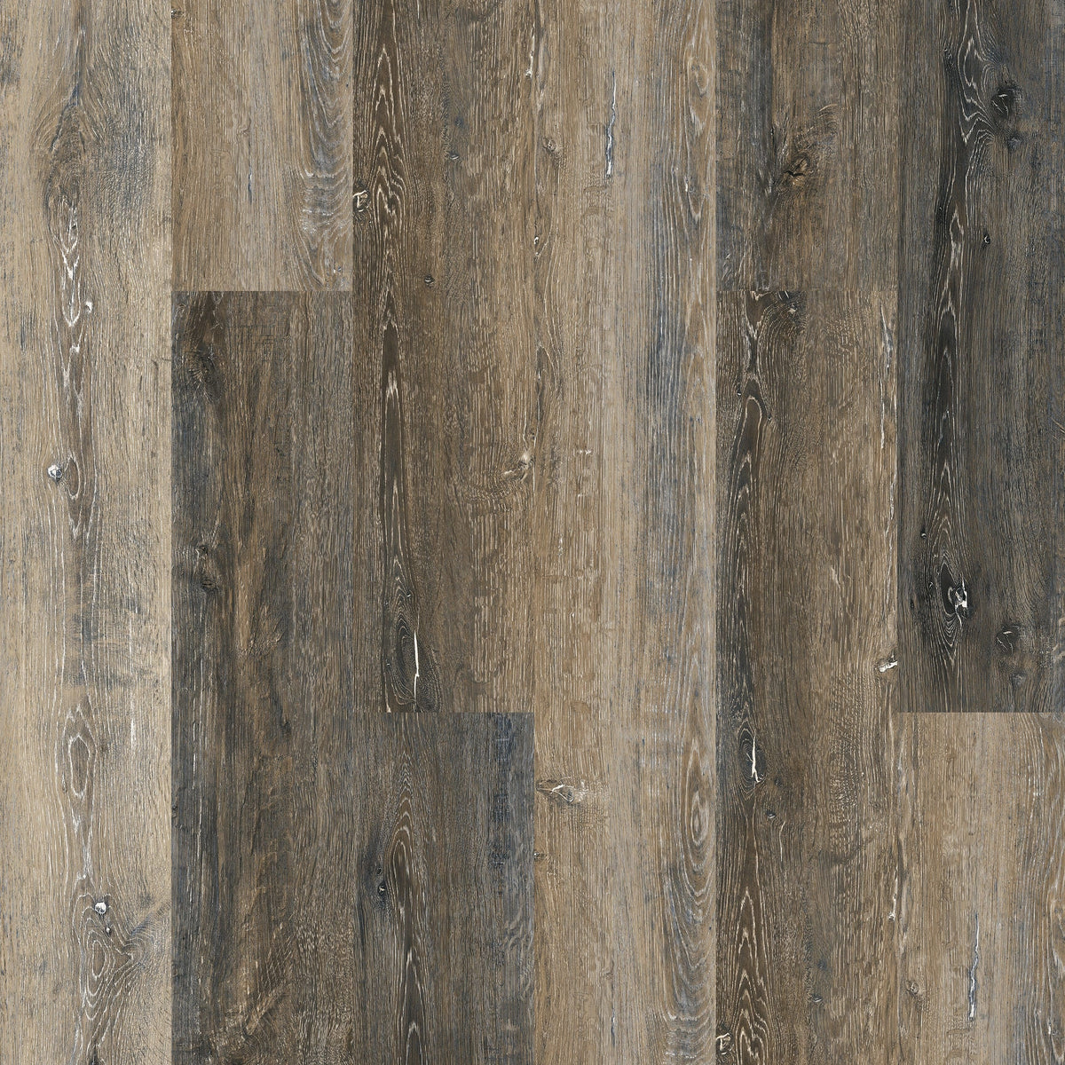 RAKUDO 05-0100b_l_600x.jpg?v=1750423073