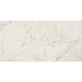 American Olean - Mythique Marble 12 in. x 24 in. Colorbody Porcelain Tile - Altissimo Polished