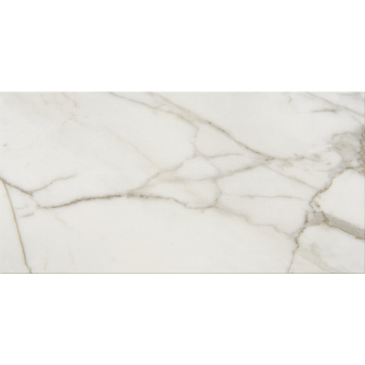 American Olean - Mythique Marble 12 in. x 24 in. Colorbody Porcelain Tile - Calacatta Venecia Matte