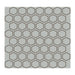 American Olean - Color Story 1.5 in. Glazed Ceramic Hexagon Mosaic - Balance