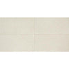 See American Olean Neospeck 12 in. x 24 in. Polished Porcelain Floor Tile - White
