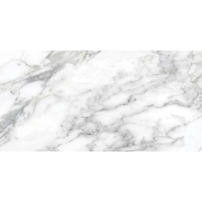 Anatolia - La Marca Glazed Porcelain 12 in. x 24 in. Honed Tile - Arabescato