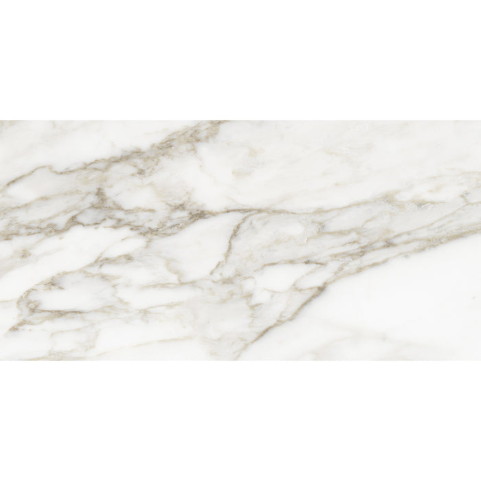 Anatolia - La Marca Glazed Porcelain 12 in. x 24 in. Honed Tile - Calacatta Paonazzo