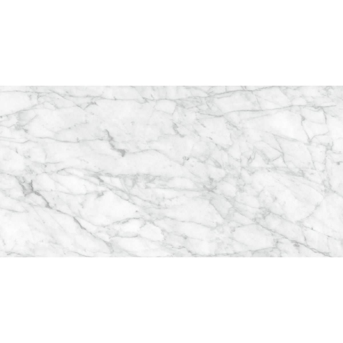 Anatolia - La Marca Glazed Porcelain 12 in. x 24 in. Polished Tile - Carrara Gioia