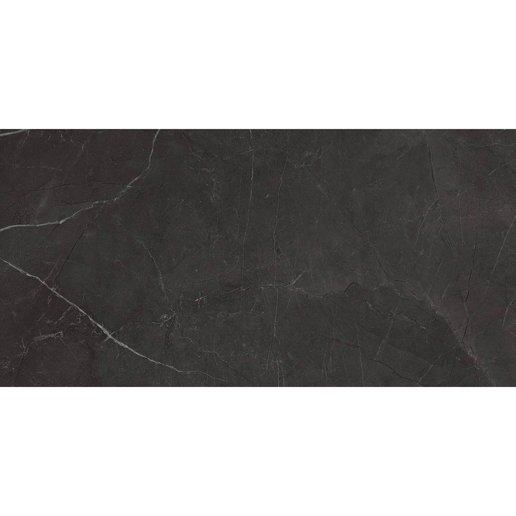 Anatolia La Marca Nero Venato 24-in x 24-in Honed Porcelain Marble Look Floor and Wall Tile (15.5-sq. ft/ Carton)