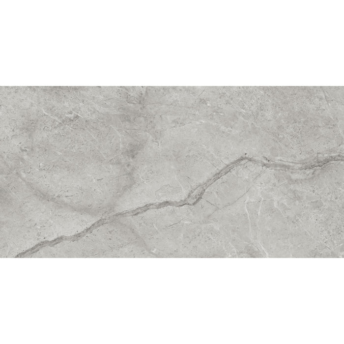 Anatolia - La Marca Glazed Porcelain 12 in. x 24 in. Polished Tile - Paradiso Argento