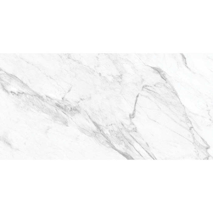 Anatolia - La Marca Glazed Porcelain 12 in. x 24 in. Polished Tile - Statuarietto
