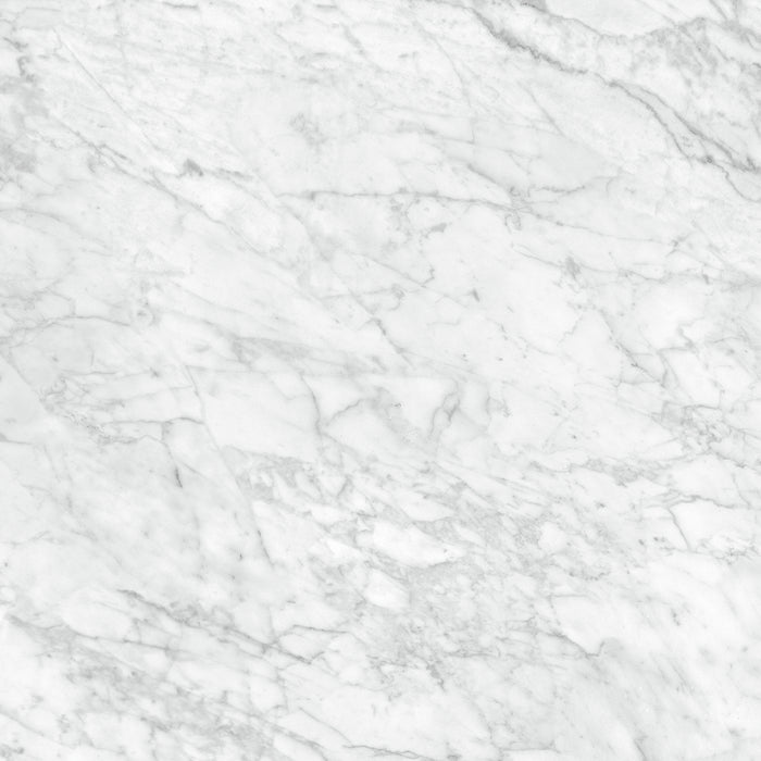 Anatolia - La Marca Glazed Porcelain 24 in. x 24 in. Polished Tile - Carrara Gioia