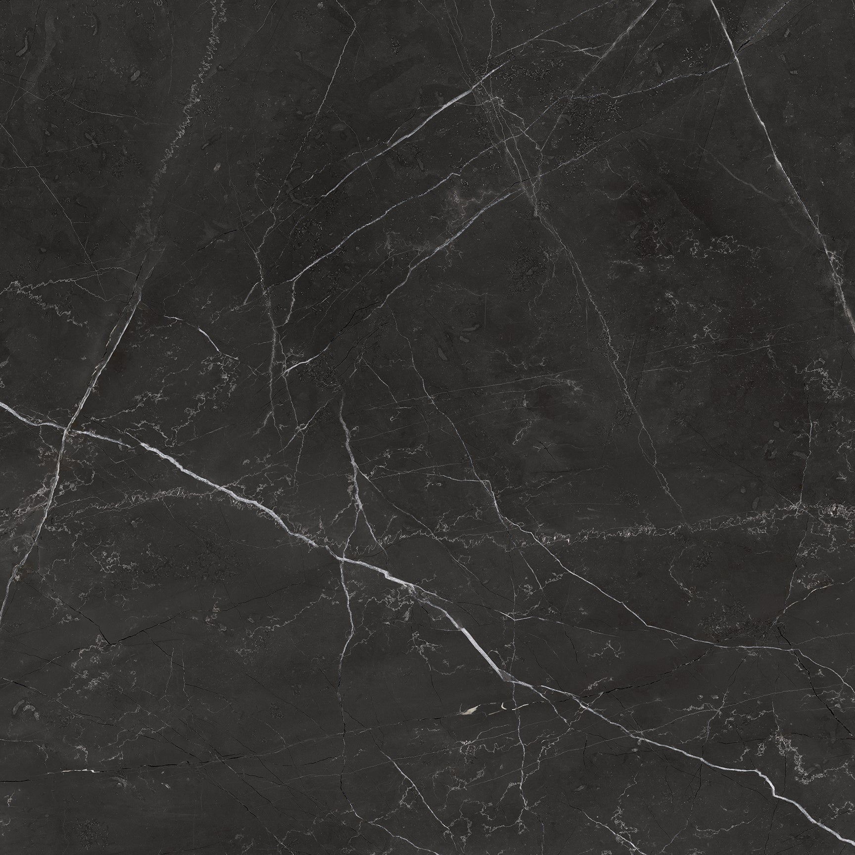 Anatolia La Marca Nero Venato 24-in x 24-in Honed Porcelain Marble Look Floor and Wall Tile (15.5-sq. ft/ Carton)