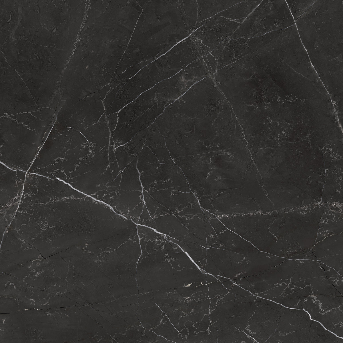 Anatolia - La Marca Glazed Porcelain 24 in. x 24 in. Honed Tile - Nero Venato