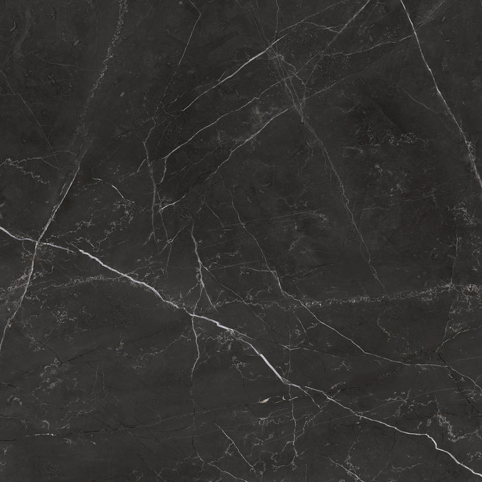 Anatolia - La Marca Glazed Porcelain 24 in. x 24 in. Polished Tile - Nero Venato