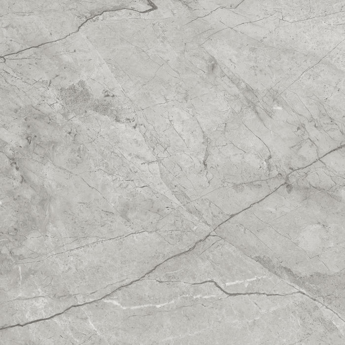 Anatolia - La Marca Glazed Porcelain 24 in. x 24 in. Polished Tile - Paradiso Argento