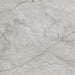 Anatolia - La Marca Glazed Porcelain 24 in. x 24 in. Polished Tile - Paradiso Argento