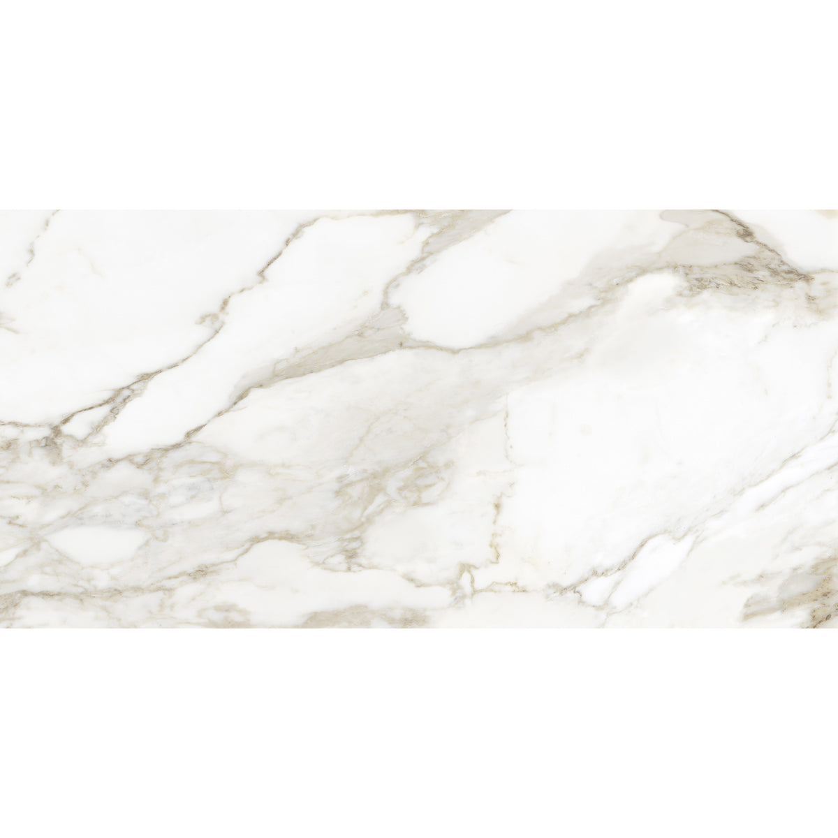Anatolia - La Marca Glazed Porcelain 24 in. x 48 in. Honed Tile - Calacatta Paonazzo