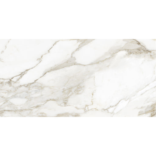 LORENZOASOLA 48 ロレンツォアゾラ Anatolia - La Marca Glazed Porcelain 24 in. x 48 in. Polished Tile