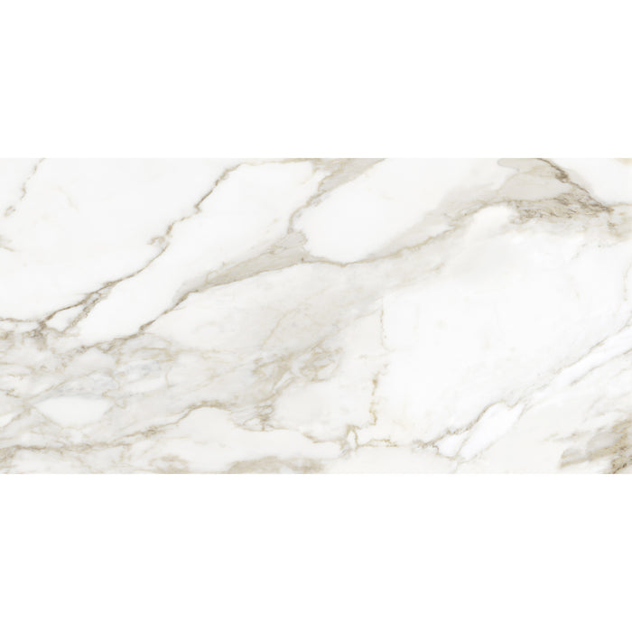 Anatolia - La Marca Glazed Porcelain 24 in. x 48 in. Honed Tile - Calacatta Paonazzo