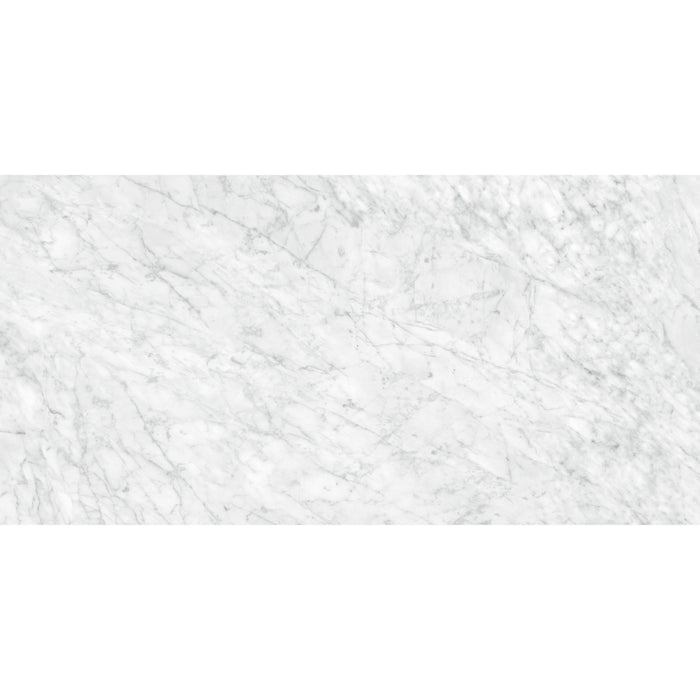 Anatolia - La Marca Glazed Porcelain 24 in. x 48 in. Polished Tile - Carrara Gioia