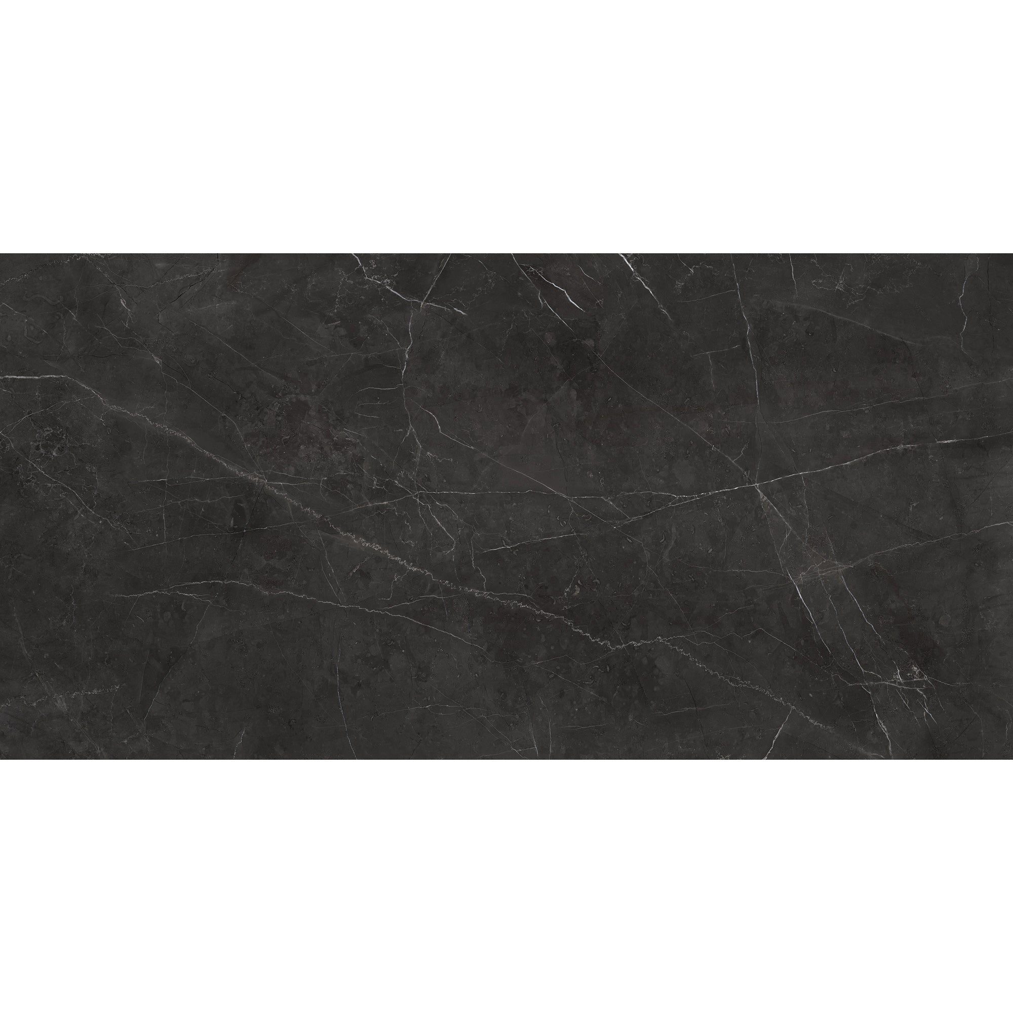 Anatolia La Marca Nero Venato 24-in x 24-in Honed Porcelain Marble Look Floor and Wall Tile (15.5-sq. ft/ Carton)