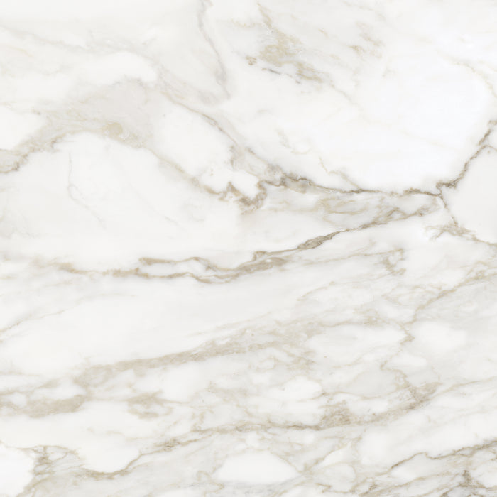 Anatolia - La Marca Glazed Porcelain 32 in. x 32 in. Polished Tile - Calacatta Paonazzo