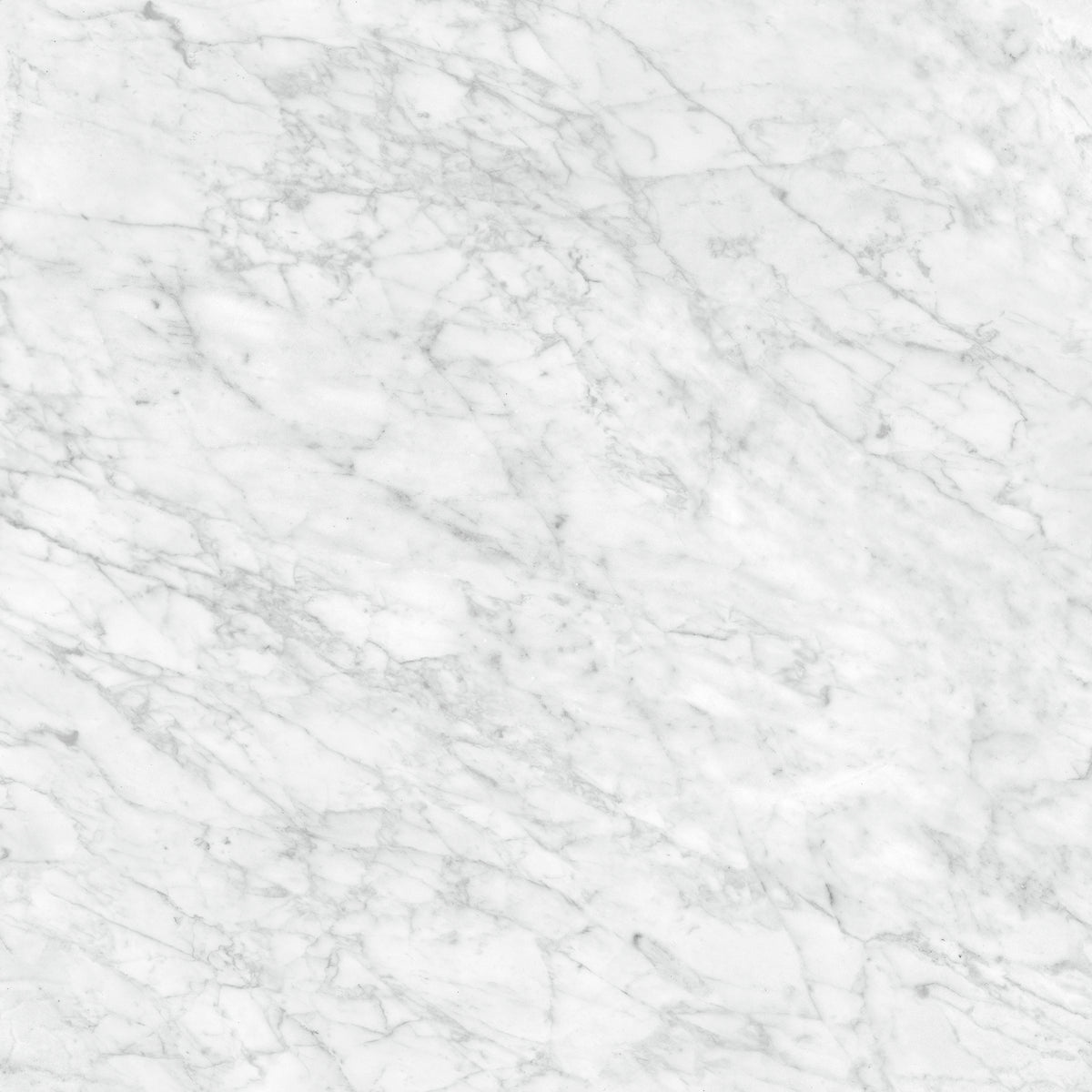 Anatolia - La Marca Glazed Porcelain 32 in. x 32 in. Polished Tile - Carrara Gioia