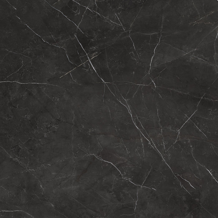 Anatolia - La Marca Glazed Porcelain 32 in. x 32 in. Polished Tile - Nero Venato