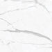 Anatolia - La Marca Glazed Porcelain 32 in. x 32 in. Honed Tile - Statuario Nuovo