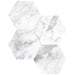 Anatolia - La Marca Glazed Porcelain 6 in. Hexagon Mosaic - Arabescato Honed