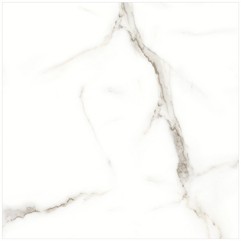 Anatolia Mayfair 24 in. x 24 in. HD Rectified Porcelain Tile Calacatta (Polished)