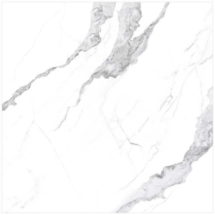 Anatolia Mayfair 24 in. x 24 in. HD Rectified Porcelain Tile Statuario (Matte)