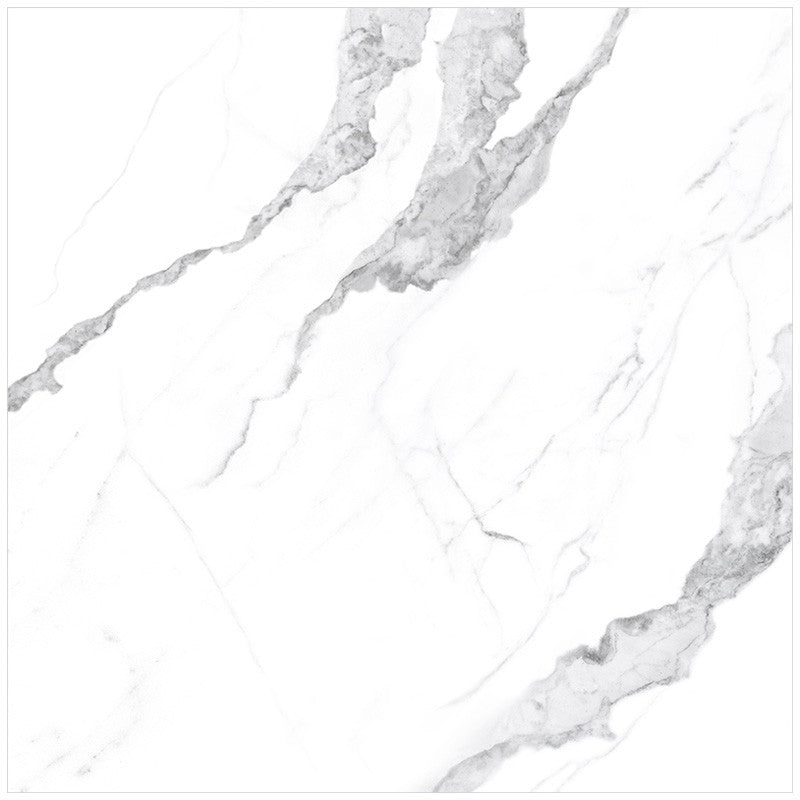 Anatolia Mayfair 24 in. x 24 in. HD Rectified Porcelain Tile Statuario (Polished)