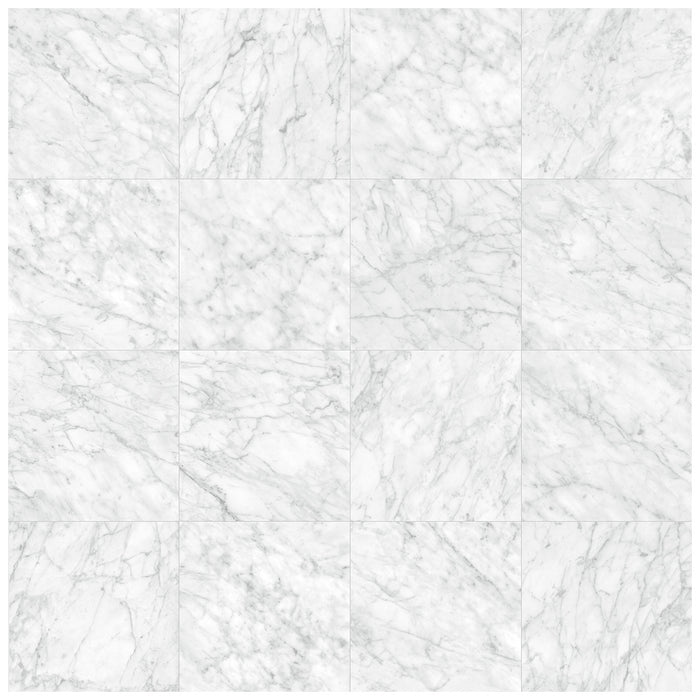Anatolia - Plata 24 in. x 24 in. Glazed Porcelain Rectified Tile - Carrara Abisso Matte Variation