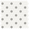 See Anatolia - Soho Porcelain - 1 in. Hexagon Glazed Mosaic with Insert - Cement Chic Matte