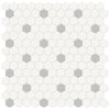 See Anatolia - Soho Porcelain - 1 in. Hexagon Glazed Mosaic with Insert - Loft Grey Matte