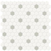 See Anatolia - Soho Porcelain - 1 in. Hexagon Glazed Mosaic - Canvas White with Soft Sage Insert Matte