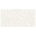 Anatolia - Station - 12 in. x 24 in. Color Body Porcelain Tile - Ivory