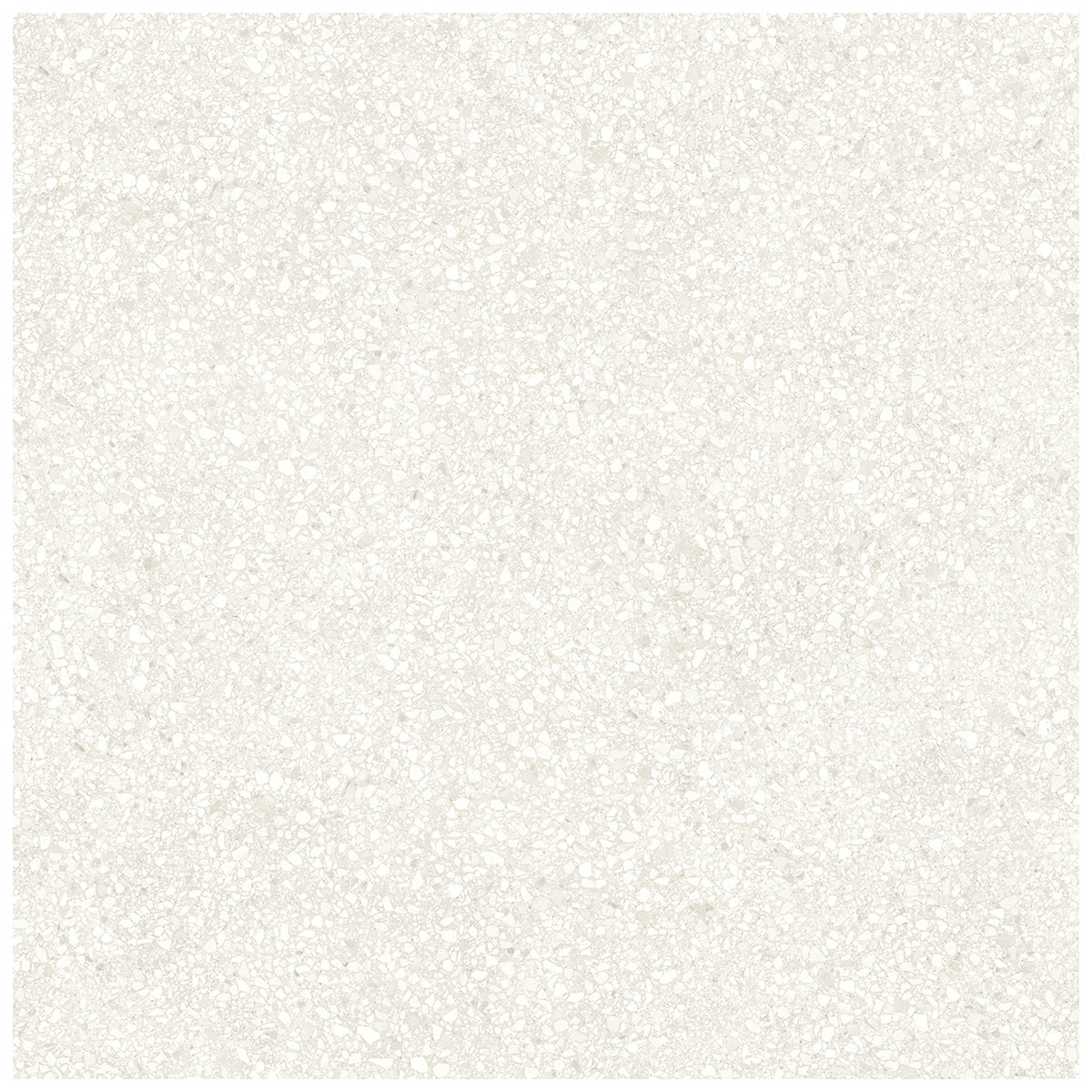 Anatolia - Station - 32 in. x 32 in. Color Body Porcelain Tile - Ivory