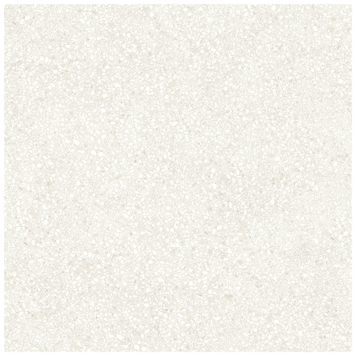 Anatolia - Station - 32 in. x 32 in. Color Body Porcelain Tile - Ivory