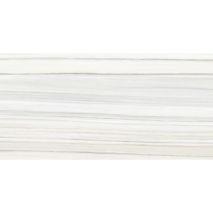 Anatolia Mayfair 24 in. x 48 in. HD Rectified Porcelain Tile - Zebrino (Polished)