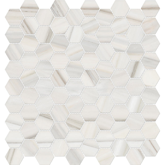 Anatolia Mayfair 1.25 in. x 1.25 in. HD Porcelain Hexagon Mosaics - Zebrino (Polished)