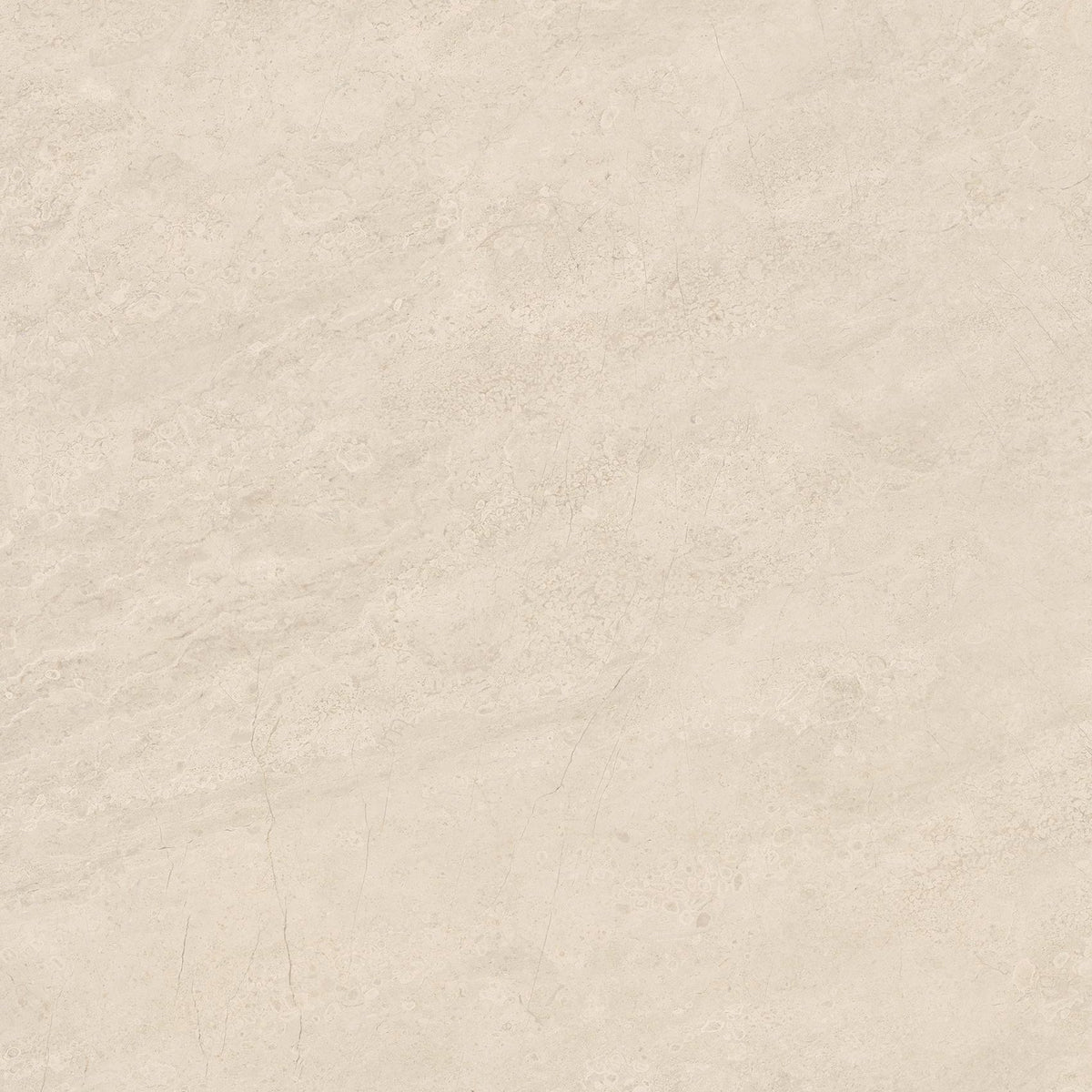 Anatolia Mayfair 24 in. x 24 in. HD Rectified Porcelain Tile - Allure Ivory (Polished)
