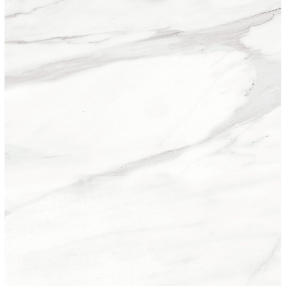 Anatolia Mayfair 24 in. x 24 in. HD Rectified Porcelain Tile - Volakas Grigio (Polished)