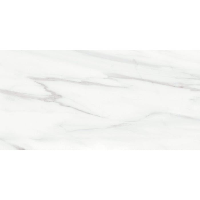 Anatolia Mayfair 12 in. x 24 in. HD Rectified Porcelain Tile - Volakas Grigio (Matte)